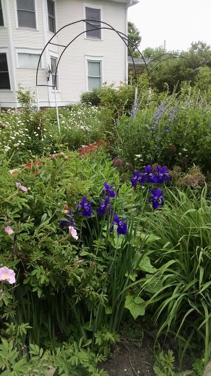 Covington Manor B&B Cambridge Exterior foto